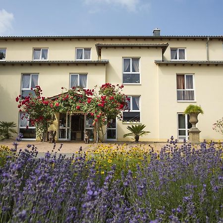 Mediterran Hotel Juwel Karlstein am Main ภายนอก รูปภาพ